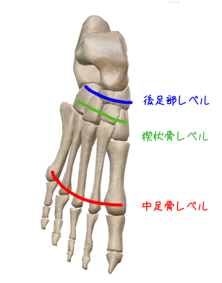 の 骨 構造 足 足のタイプ分類とメカニズム